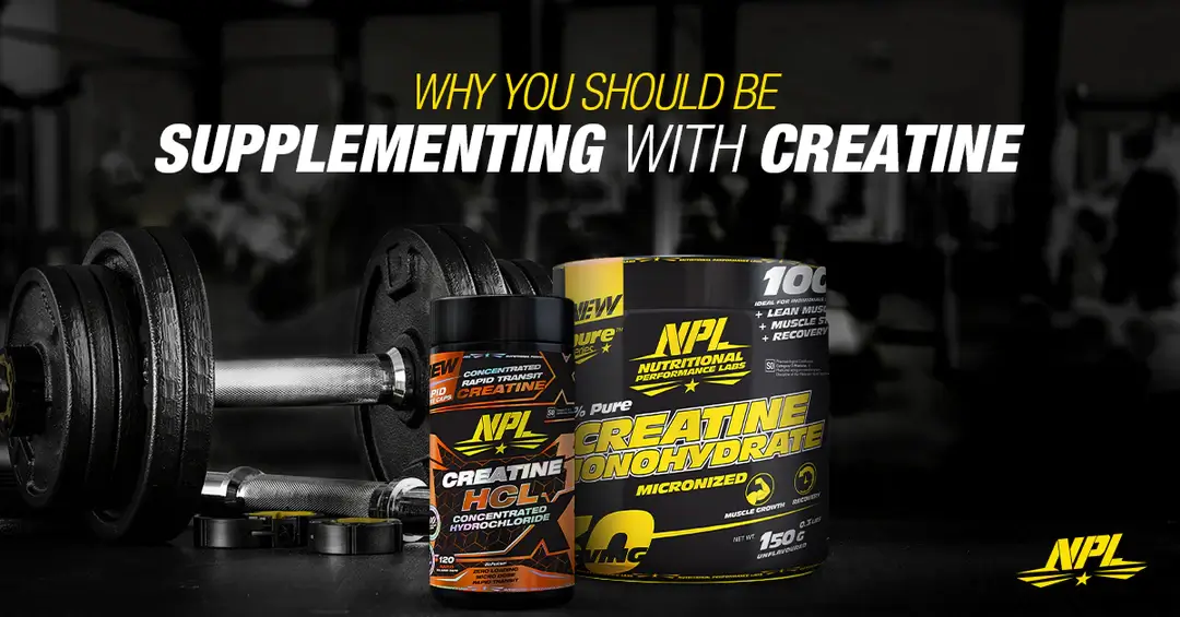 Creatine Supplement